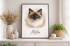 Katze